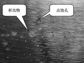 乐鱼平台网站_乐鱼(中国)
乐鱼平台网站_乐鱼(中国)