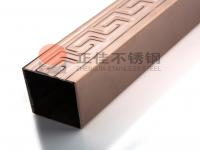 304彩色乐鱼平台网站_乐鱼(中国)管逐渐成为家装的新宠，势头迅猛